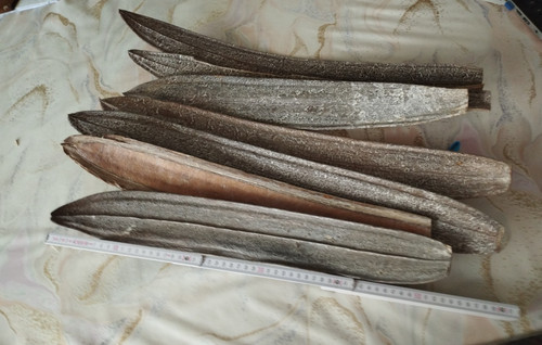 Bläter exoten natur holz - bläter,