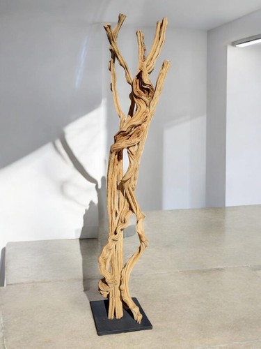Lianen holz skulptur - lianen,